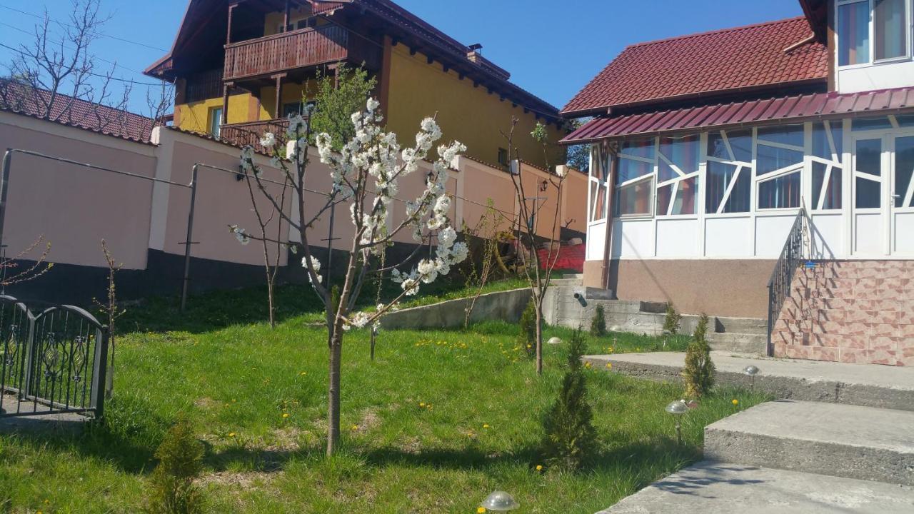 Casele Lena Bed & Breakfast Aldesti  Eksteriør bilde
